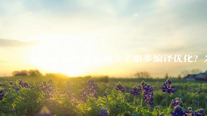 go为了编译速度减少了很多编译优化？为什么不能提供优化编译模式来提升运行效率？是太懒还是另有隐情？