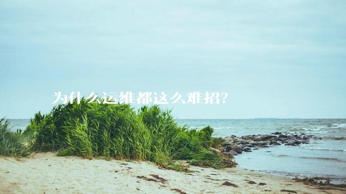 为什么运维都这么难招？